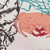 https://larascouller.com/files/gimgs/th-24_fragile_oceanSM.jpg