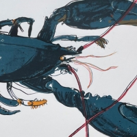 https://larascouller.com/files/gimgs/th-24_two_lobsts_SM.jpg