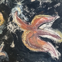 https://larascouller.com/files/gimgs/th-30_smIMG_starfish.jpg