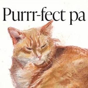 https://larascouller.com/files/gimgs/th-4_AandI_CatSM.jpg